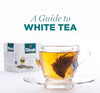 Everything You Need To Know About White Tea